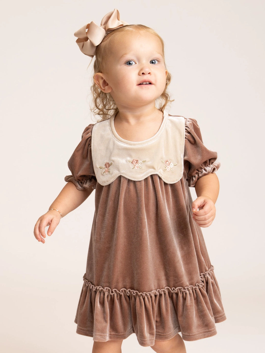 Vintage Embroidered Collar Ruffle Dress