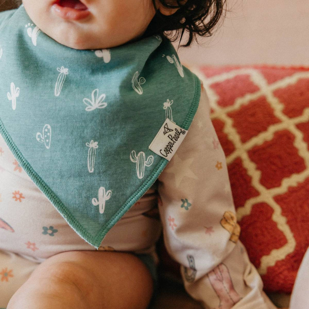 Baby Bandana Bibs- Cheyenne
