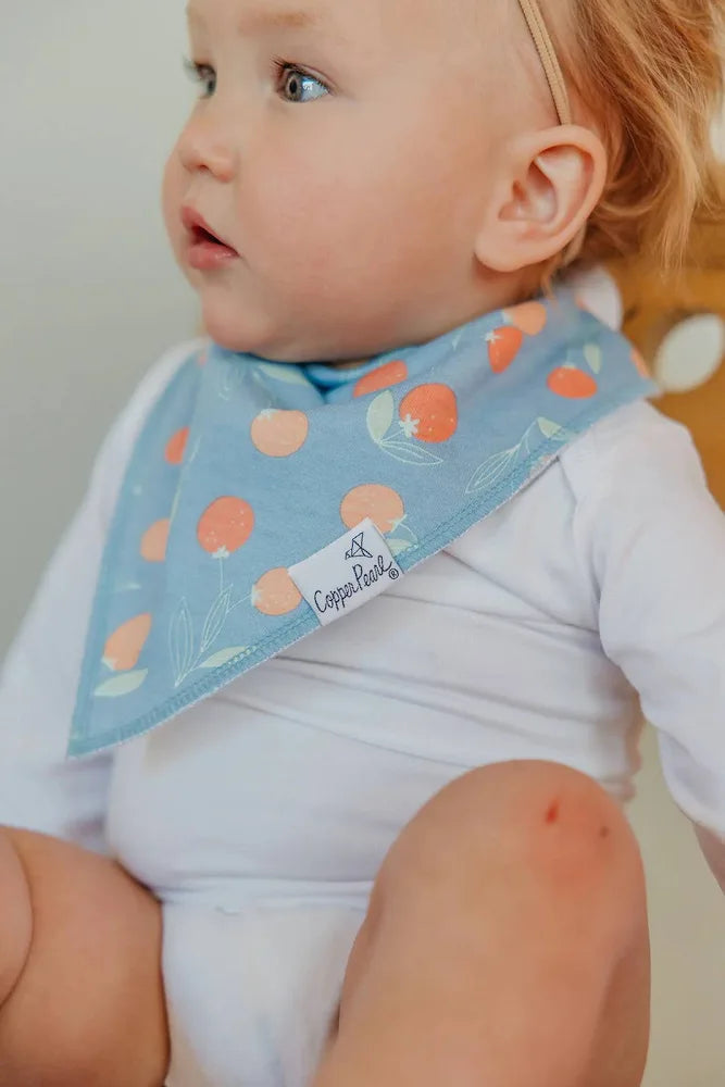 Baby Bandana Bibs- Clementine