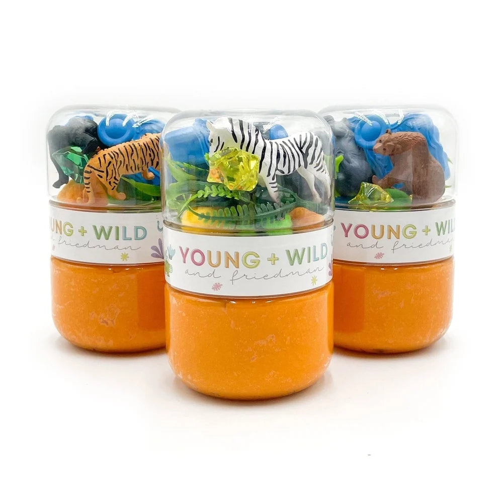 Grab and Go Sensory Dough Jar- ZOO